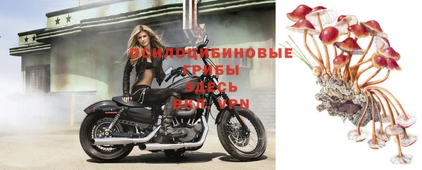 герыч Коряжма